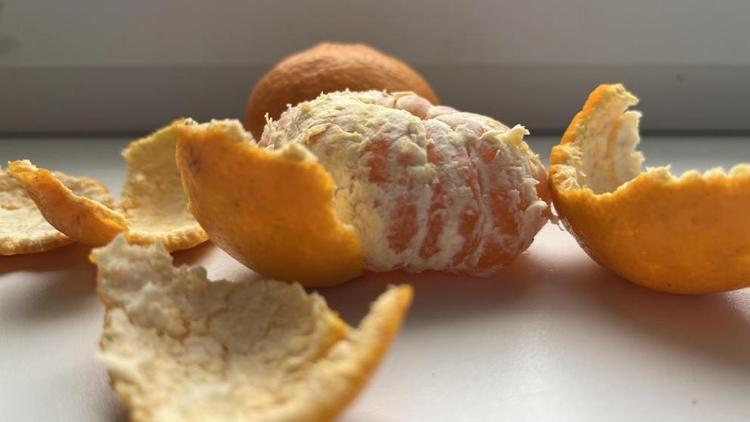 Бойцам СВО отправят мандариновое варенье из Железноводска