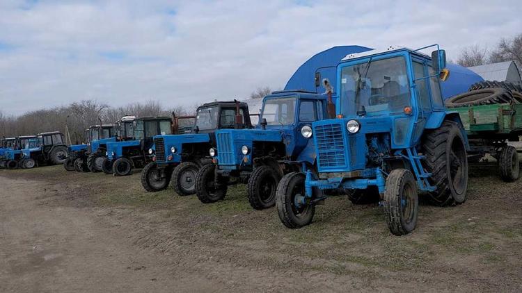 Валовое производство сельхозпродукции на Ставрополье превысило 186 млрд рублей