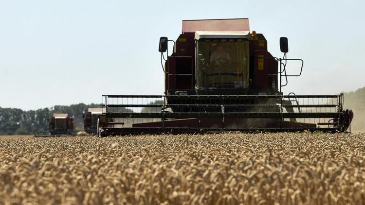 Производство сельхозпродукции на Ставрополье показывает рост