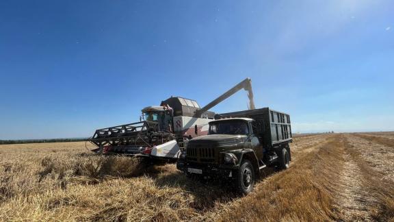 В Предгорном округе Ставрополья убрано свыше 13 тысяч гектар зерновых