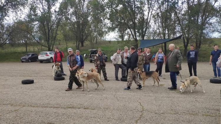 В Новоалександровске прошла межрегиональная конференция собаководов