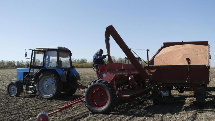 Гос­поддержка аграриев и детей-сирот на Ставрополье будет продолжена