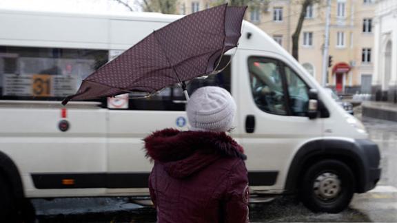 Сильный ветер на Ставрополье обещают синоптики в начале рабочей недели