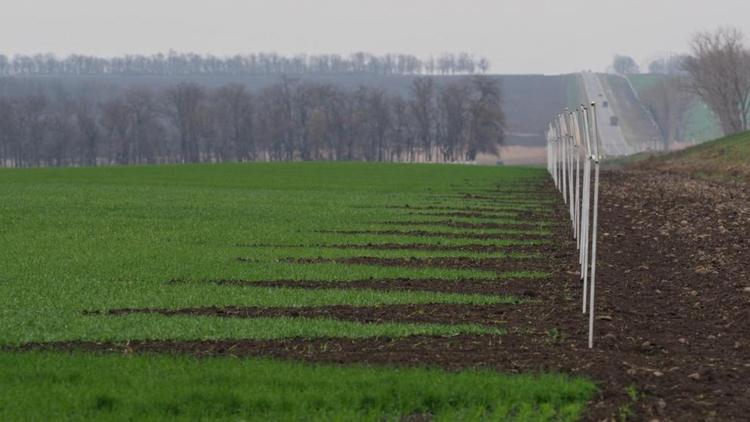 Учёные СКФУ работают над созданием антидота, который снизит влияние пестицидов на сельхозкультуры
