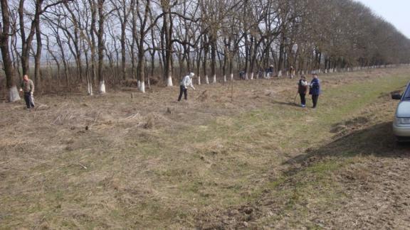 Традиционные субботники прошли в Александровском районе