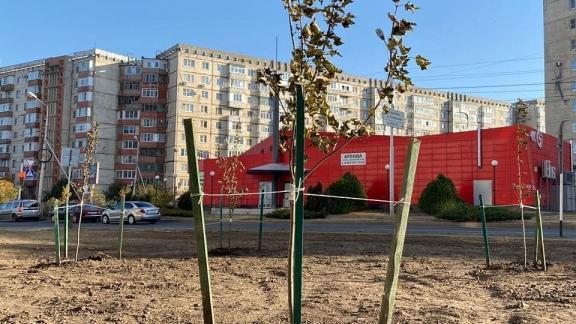 В Ставрополе привели в порядок пустырь по улице Бруснёва