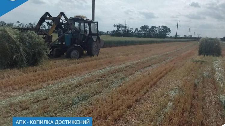 В Ипатовском округе идёт заготовка кормов для скота на зимний период