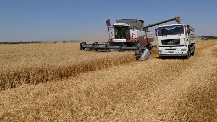 На Ставрополье хлебный каравай перевалил за 4 миллиона тонн