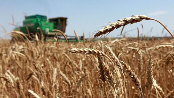 Ставропольским производителям дали квоту на вывоз зерновых