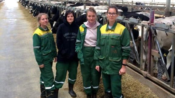 На Ставрополье сельхозпредприятия смогут возместить расходы на студенческую практику