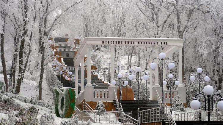 В Железноводске обустроят «Медвежью тропу»
