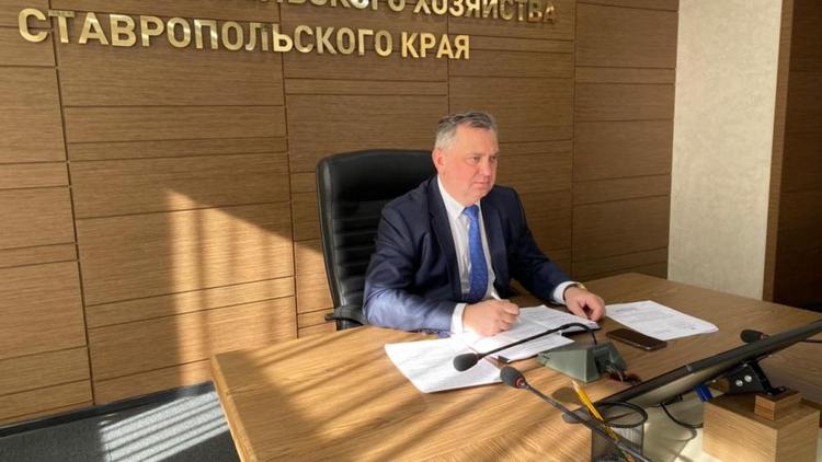 Развитие малого агробизнеса обсудили на Ставрополье