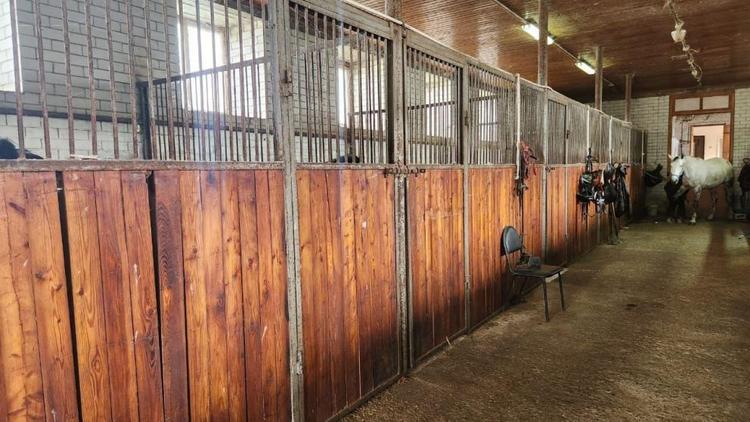 Глава Железноводска предложить взять лошадей из конного завода на реабилитацию