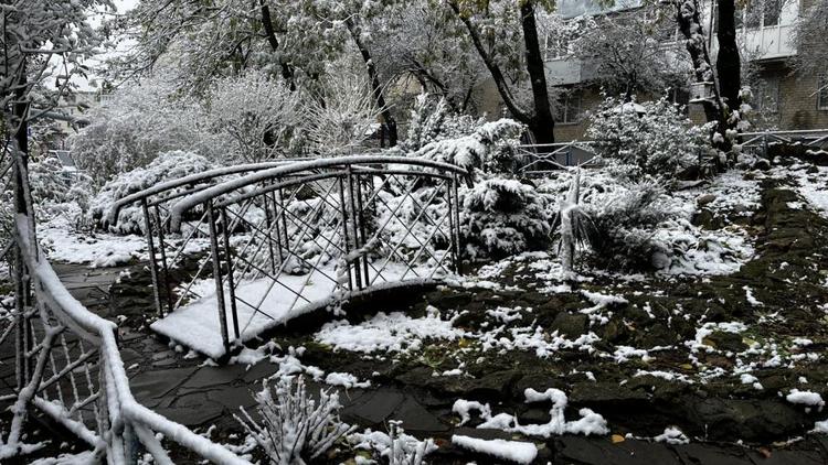 Дожди с мокрым снегом ожидаются на Ставрополье в начале недели