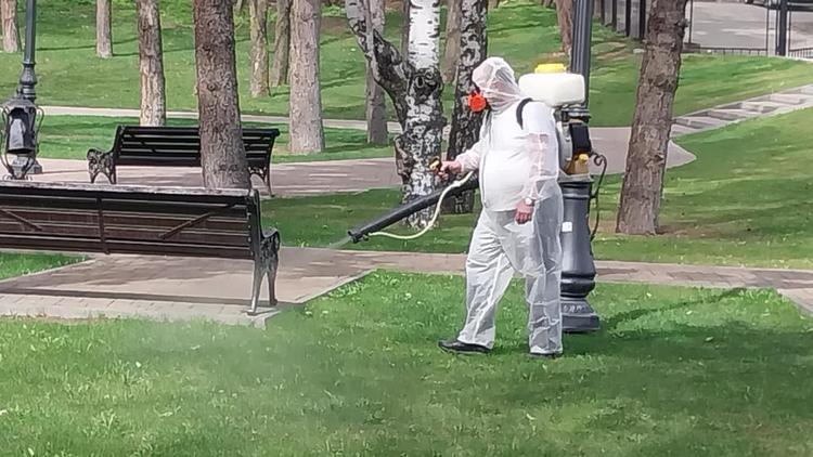Более трёх тонн спецраствора распылят в зелёных зонах Кисловодска