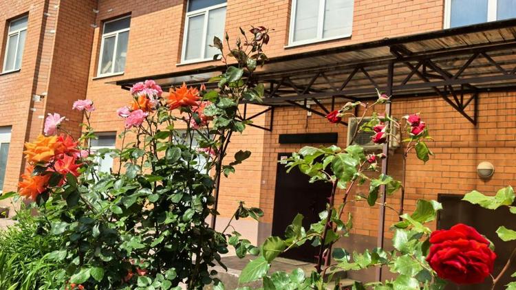 На Ставрополье оценили Гостевой доступ приложения «Госуслуги.Дом»