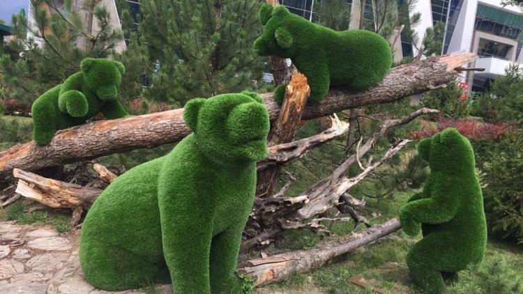 В Железноводске благоустроят лесную тропу