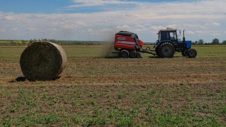 Финансирование грантов на развитие семейных ферм увеличили на Ставрополье