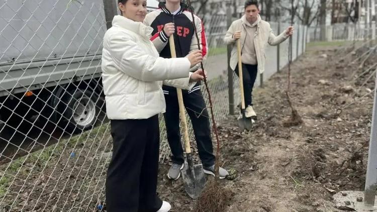 Первый школьный сад заложили в Невинномысске