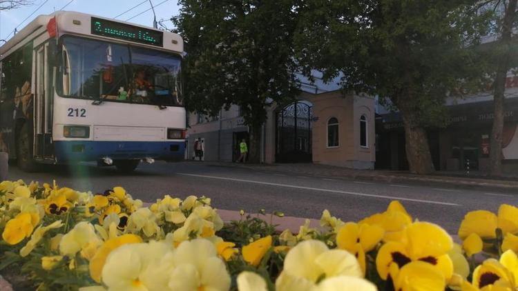 Для Ставрополья развитие электротранспорта экономически и экологически выгодно