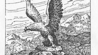 Разведывательные сводки в ставропольской прессе во время Великой Отечественной войны