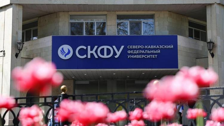 В Ставрополе стартовал краевой фестиваль «УниверСпорт 2025»