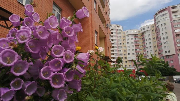 На Ставрополье в 2023 году выдали 13,8 тысячи льготных ипотечных кредитов