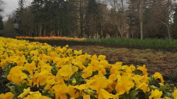 Жителей Ставрополя приглашают на пленэр «Дыхание времён»