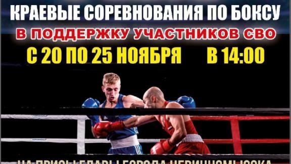 В Невинномысске пройдут боксёрские бои на призы мэра
