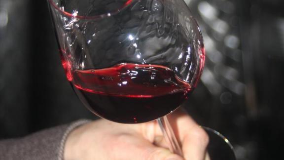 Виноградари Ставрополья активно пользуются господдержкой