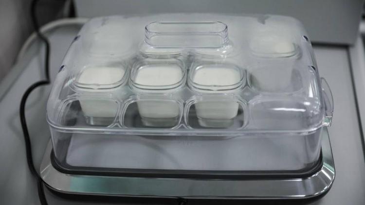 В СКФУ создали инновационный метод обогащения продуктов природным антиоксидантом