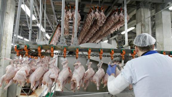 Ставрополье впервые экспортировало мясо птицы на Филиппины