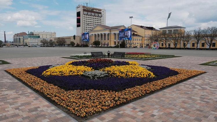 Ставрополь к параду Победы украсят 600 тысяч летних цветов
