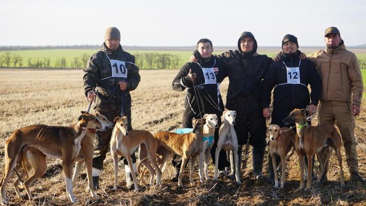 На Ставрополье прошли состязания борзых собак по зайцу-русаку