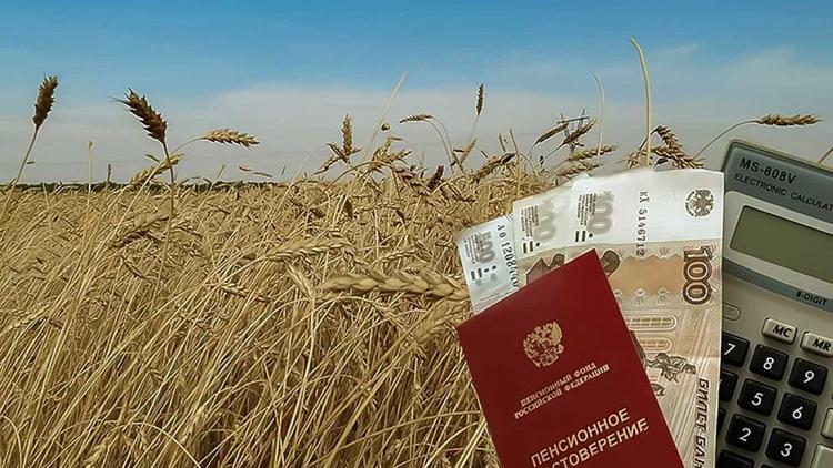 Аграрии Ставрополья получают надбавку к пенсии за работу в сельском хозяйстве