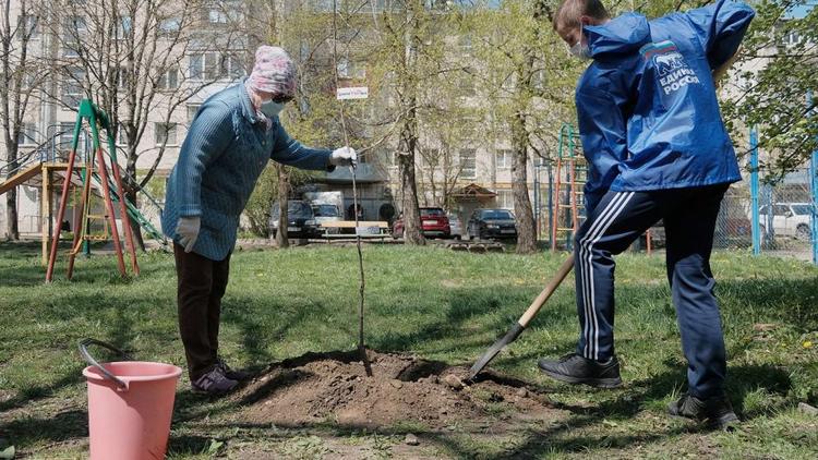 Сертификаты экологов за высаженные деревья получат туристы Железноводска