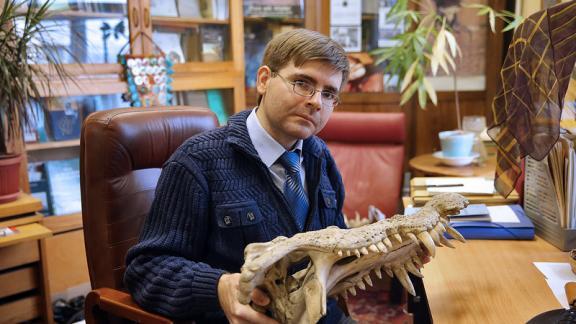 Ставропольский учёный изучает «родственников» динозавров