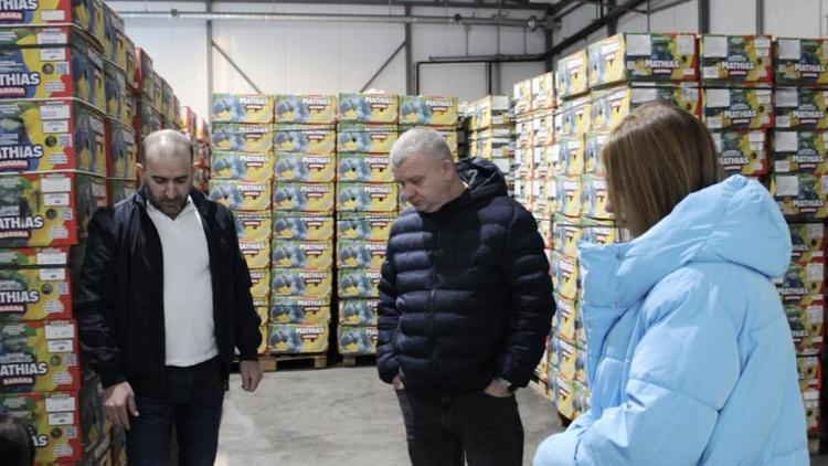 В Георгиевском округе Ставрополья наладили производство дозревания бананов