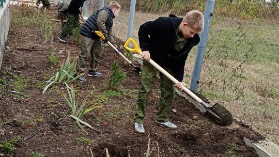 Казачата станицы Барсуковской приняли участие в трудовом десанте