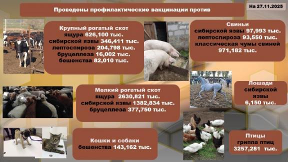 Опыт Ставрополья отмечен на Международном форуме «Ветеринарная безопасность»
