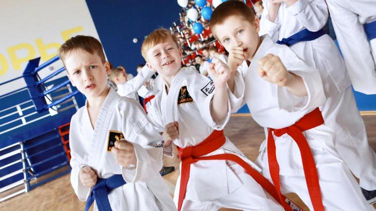 Более 7,5 тысячи школьников Ставрополя бесплатно посещают спортивные секции