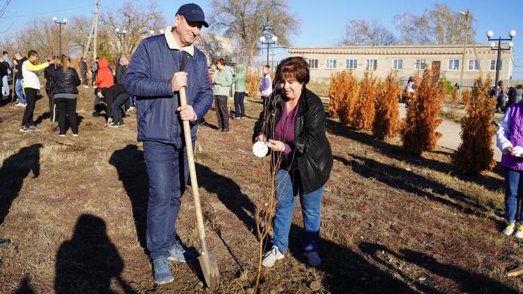 В Андроповском округе Ставрополья высадили «Сад памяти»