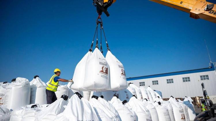 Аграрии Ставрополья готовят удобрения к полевым работам в 2026 году