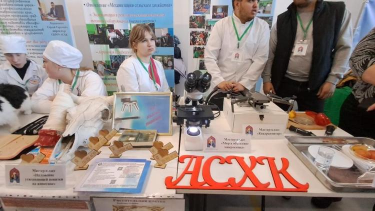 Молодёжь Ставрополья пригласили на фестиваль профессий