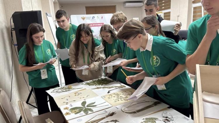 Юные экологи Кисловодска прославили город на всероссийских конкурсах