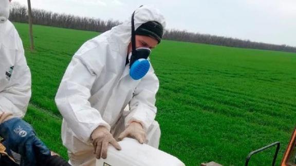 Россельхозцентр Ставрополья признан одним из лучших в стране