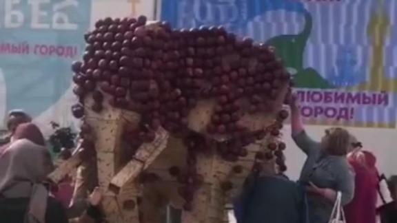В Ставрополе разнесли яблочного слона