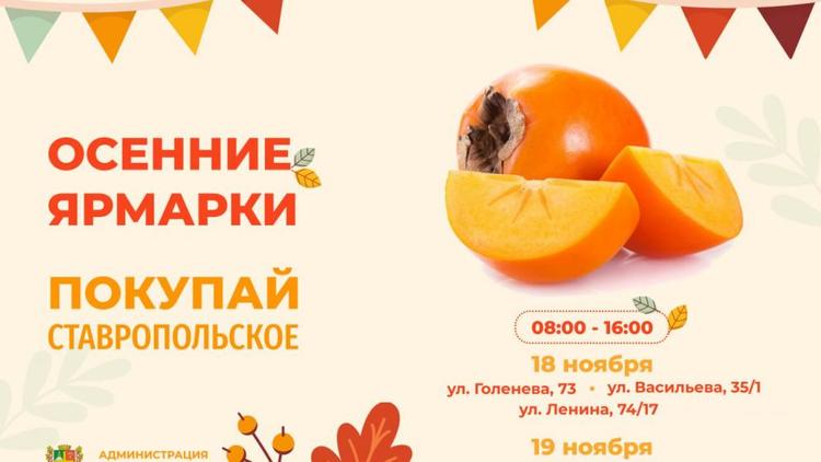 Четыре ярмарки выходного дня пройдут в Ставрополе 18 и 19 ноября