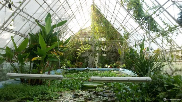 Ставропольскому ботаническому саду не грозит закрытие