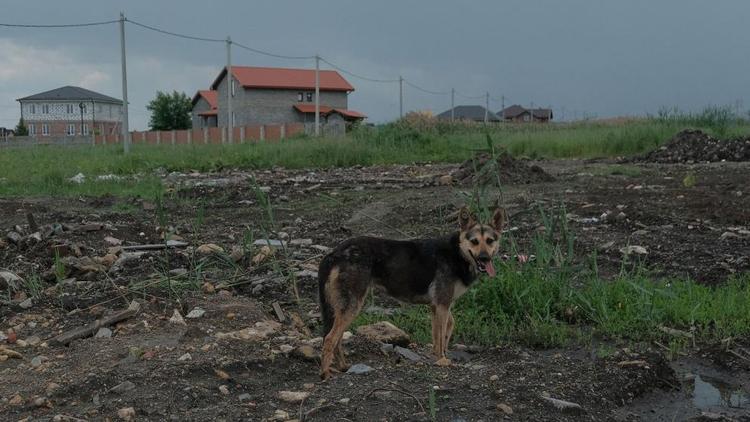 На Ставрополье борются с навалами твёрдых коммунальных отходов